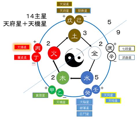 14主星 五行 家裡出現蜂窩